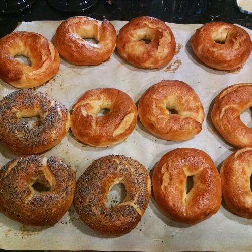 Finished Bagels