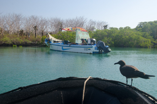 Sea Cucumber Fishermen